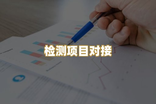 检测项目对接